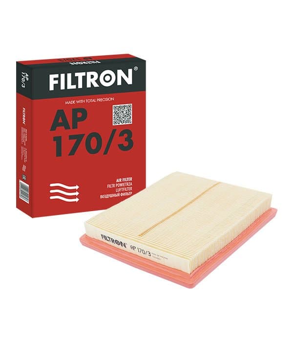 ფილტრი ჰაერის Filtron AP170/3